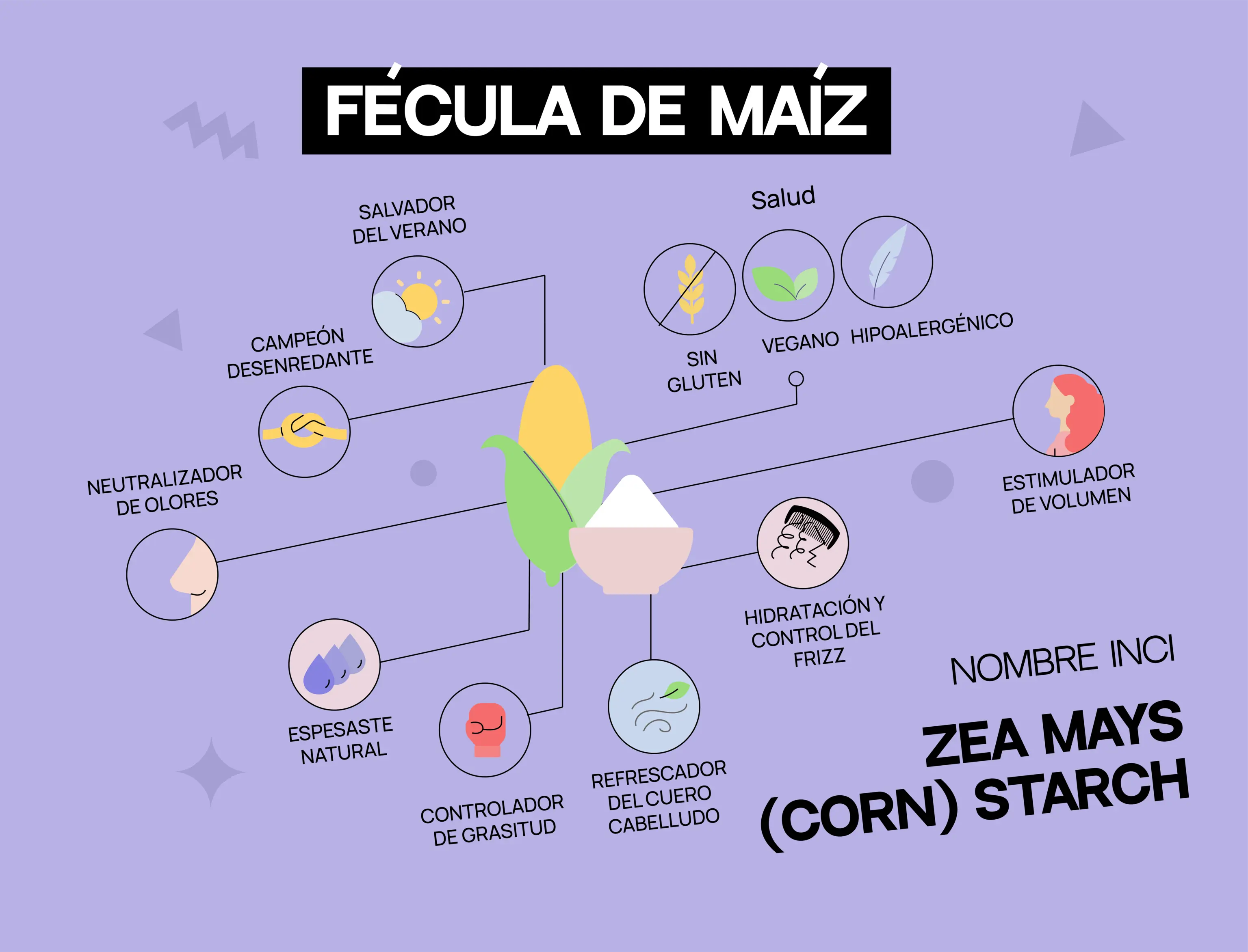 Infografía Almidón de maíz