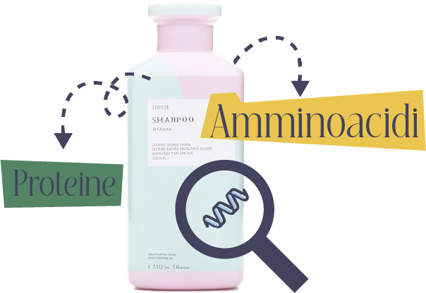 Finding proteins with the app